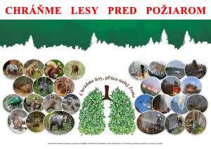 Chráňme lesy pred požiarmi